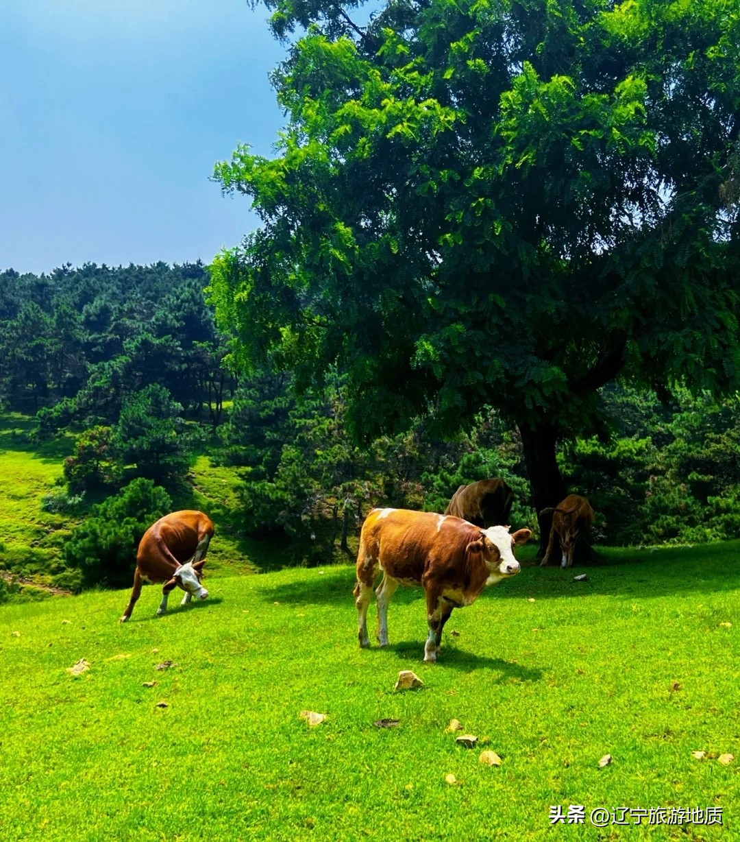 沈阳登山旅游哪里好,沈阳周边登山推荐
