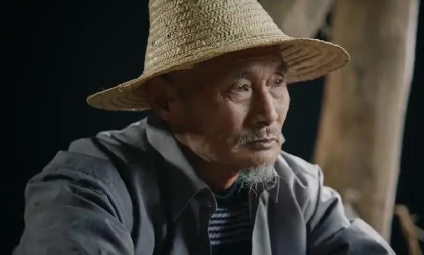 靠晒太阳躺赚上万农民被骗,靠晒太阳躺赚坑了无数人