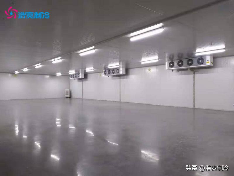医药冷库定制造价,医药冷库设计安装费用多少钱