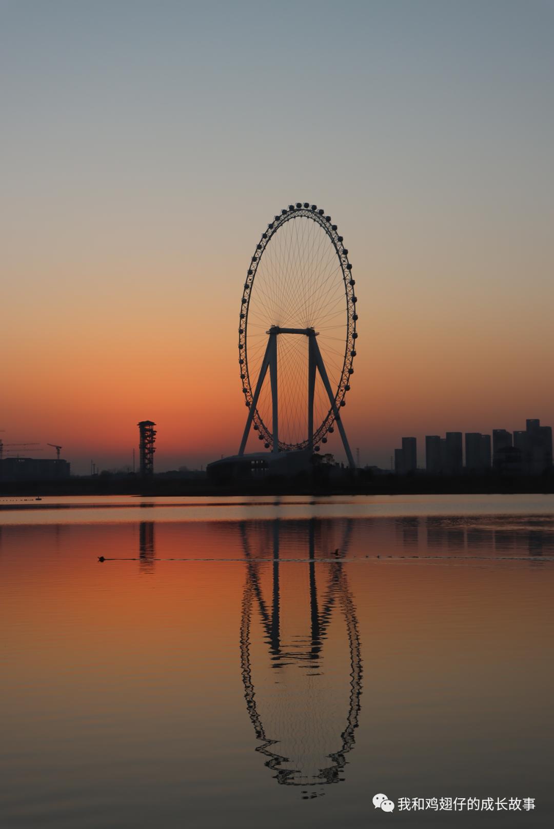 爱美丽推荐打卡第76|合肥必打卡|草坪+湖泊+游乐园+萌宠市集+花海