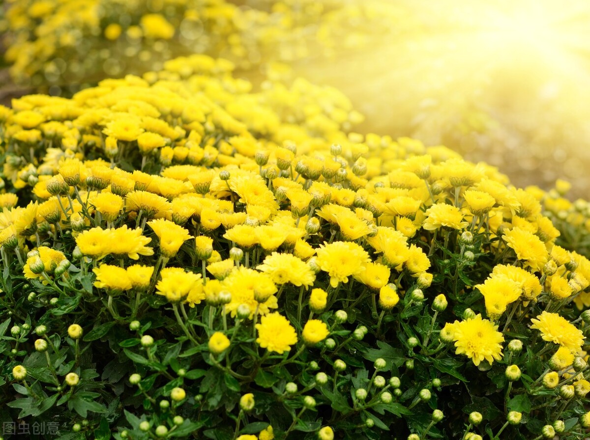 郭进栓汝州,郭进栓