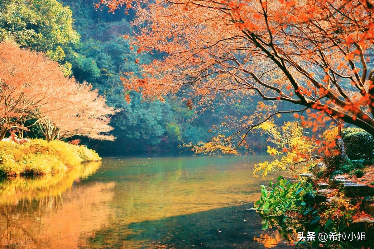 杭州新西湖十景更适合游览哪一景,杭州西湖新十景游玩攻略