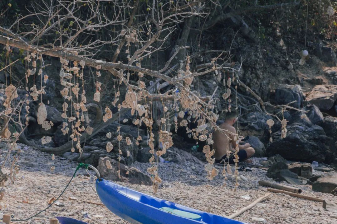 鍘绘嘲鍥芥浖璋峰拰鑺彁闆呯殑鏀荤暐,鍘绘嘲鍥界帺杞浖璋疯姯鎻愰泤