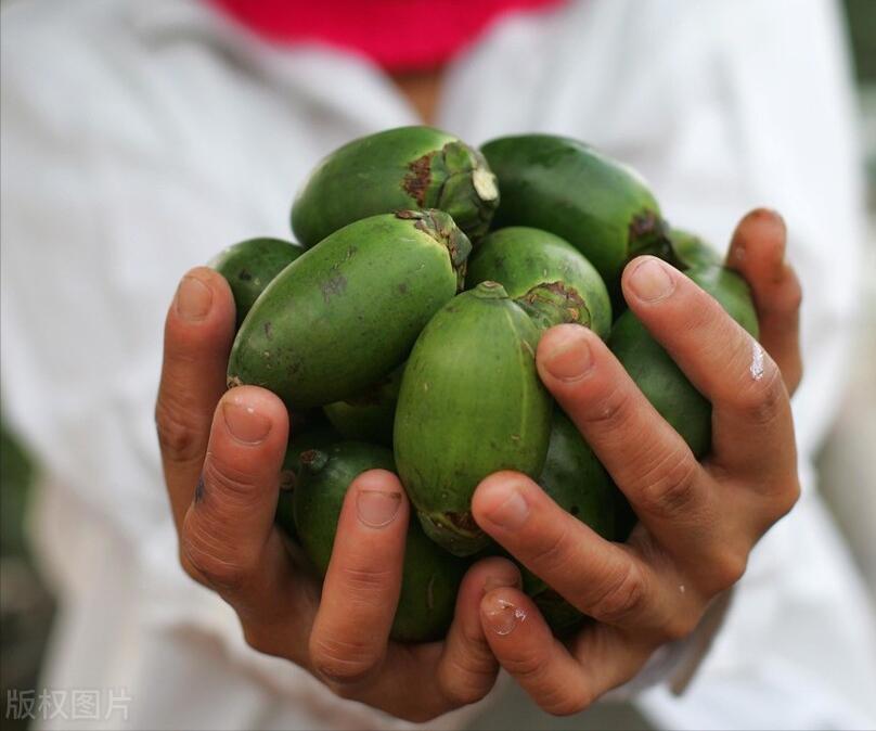 一级致癌物槟榔的危害有多大,5分钟带你了解一级致癌物槟榔