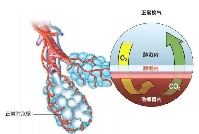 氮气和一氧化二碳,氮气占空气总质量多少