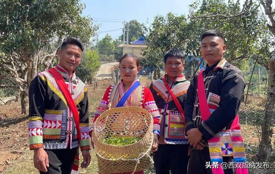 勐海贺开古茶,勐海贺开古茶资源开发有限公司