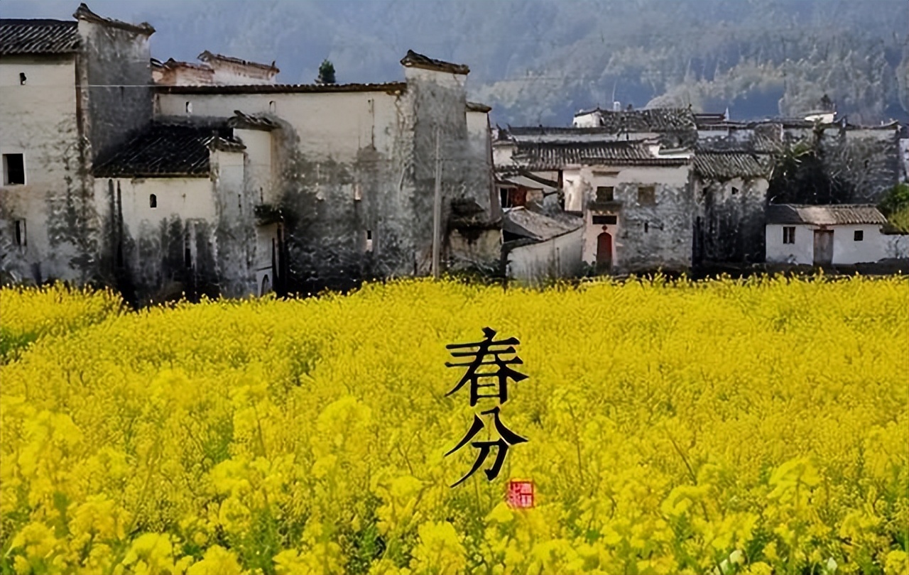 为啥大街小巷的药店越来越多,为什么现在大街上的药店越开越多