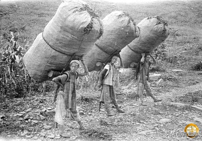 谈“松”时说练的对，但谈到“紧”有些人觉得是练错了，其实？