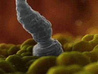 女性的安全期前7后8是什么意思,女生安全期前七后八是怎么算的啊