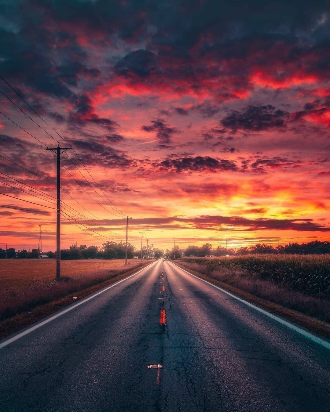 【被窝段子20221225】每个人的花期不同不必焦虑有人比你提前拥有