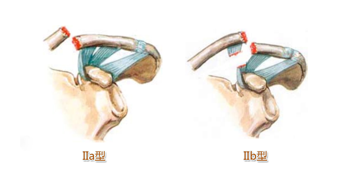 医学笔记资料大全,医学笔记整理