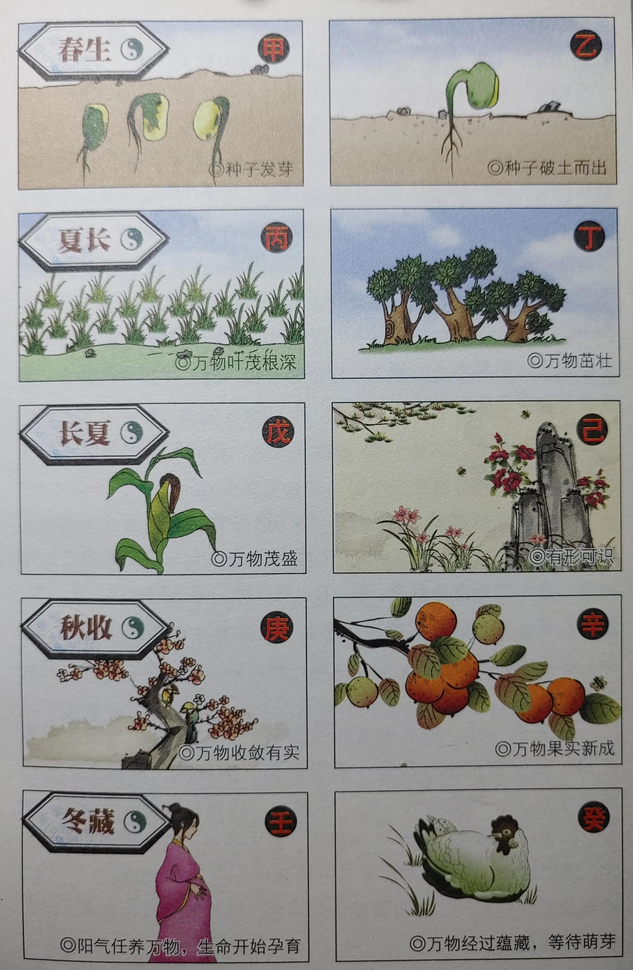 天干地支讲解视频,天干地支年月日时算法口诀