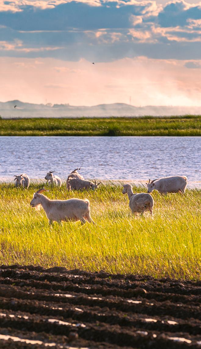 内蒙古是不是天短夜长啊,你觉得内蒙古好吗