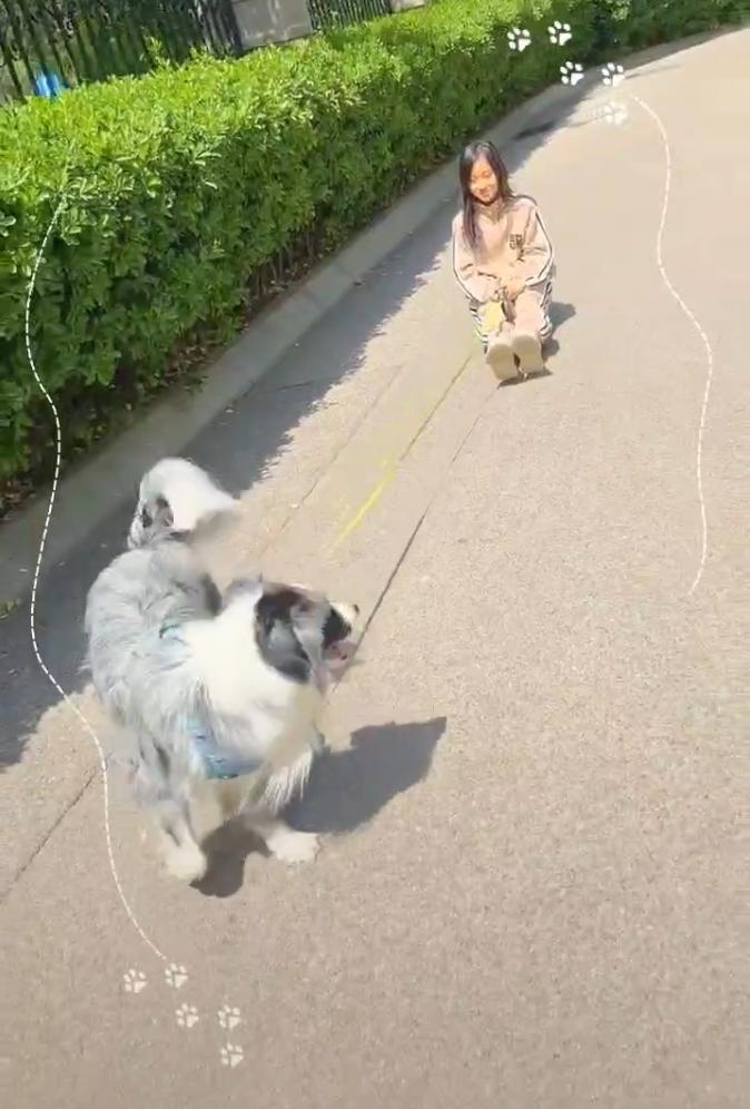 李小璐训狗,李小璐甜馨恶评