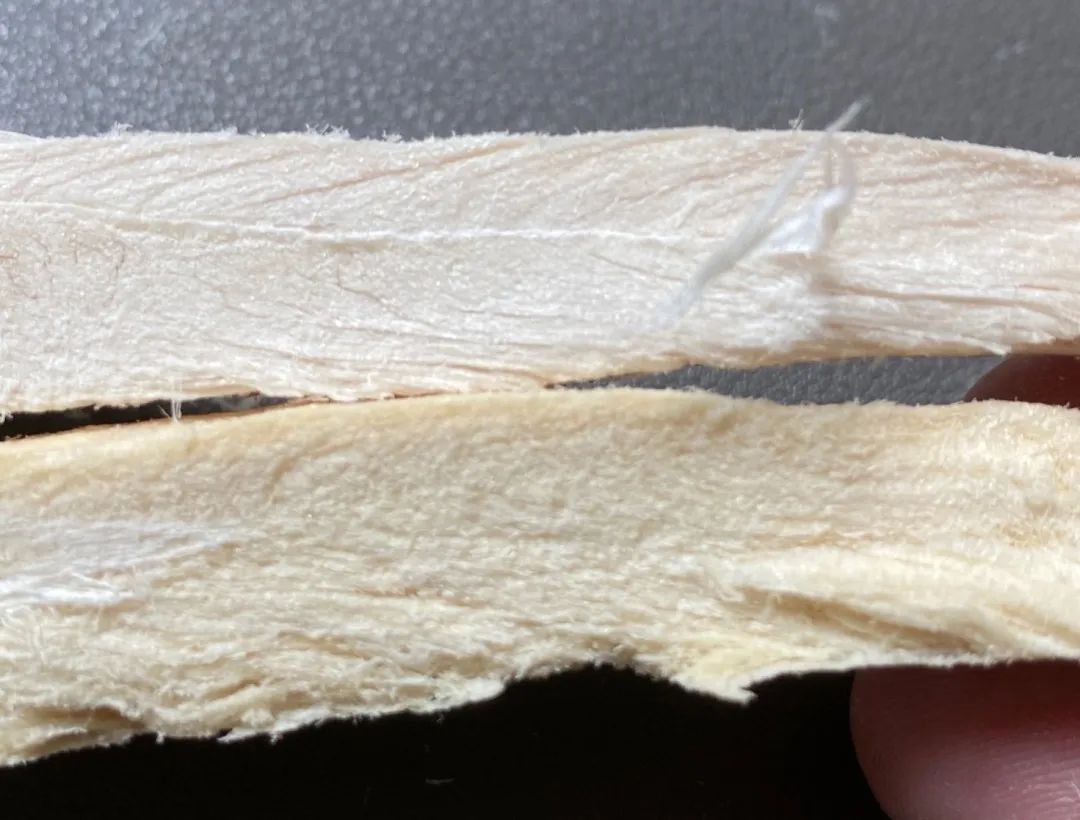 养猫卖宠物用品变现,养猫注意事项和骗局