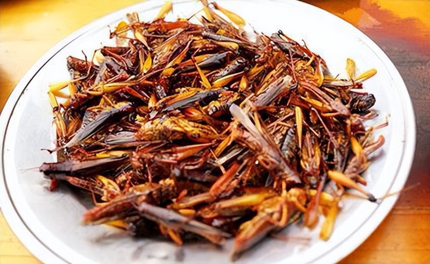 十大经典天津菜,天津最有名的三绝菜