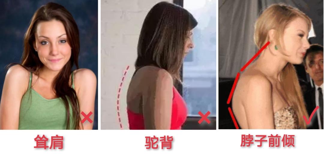 脖子短怎么成为天鹅颈,如何练出天鹅般的美颈