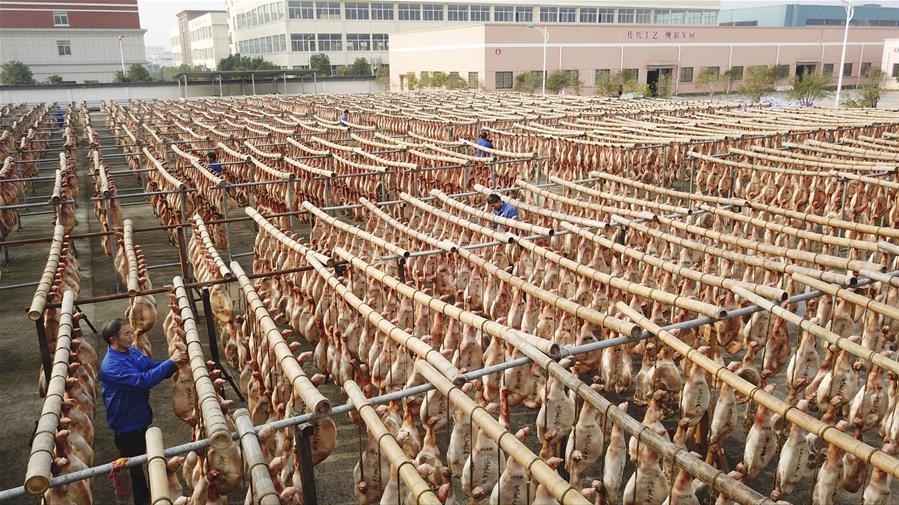 养猪大叔一年赚多少钱,四川大爷养猪完整视频