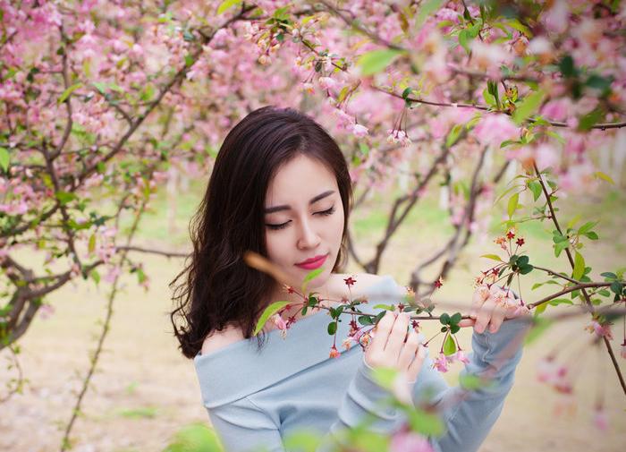 杏花桃花梨花荷花的诗有哪些,关于描写桃花杏花的唯美诗句