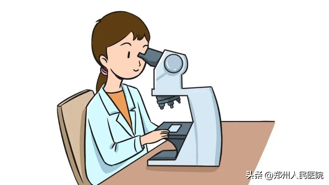病理报告诞生记，教你快速看懂这份“有字天书”