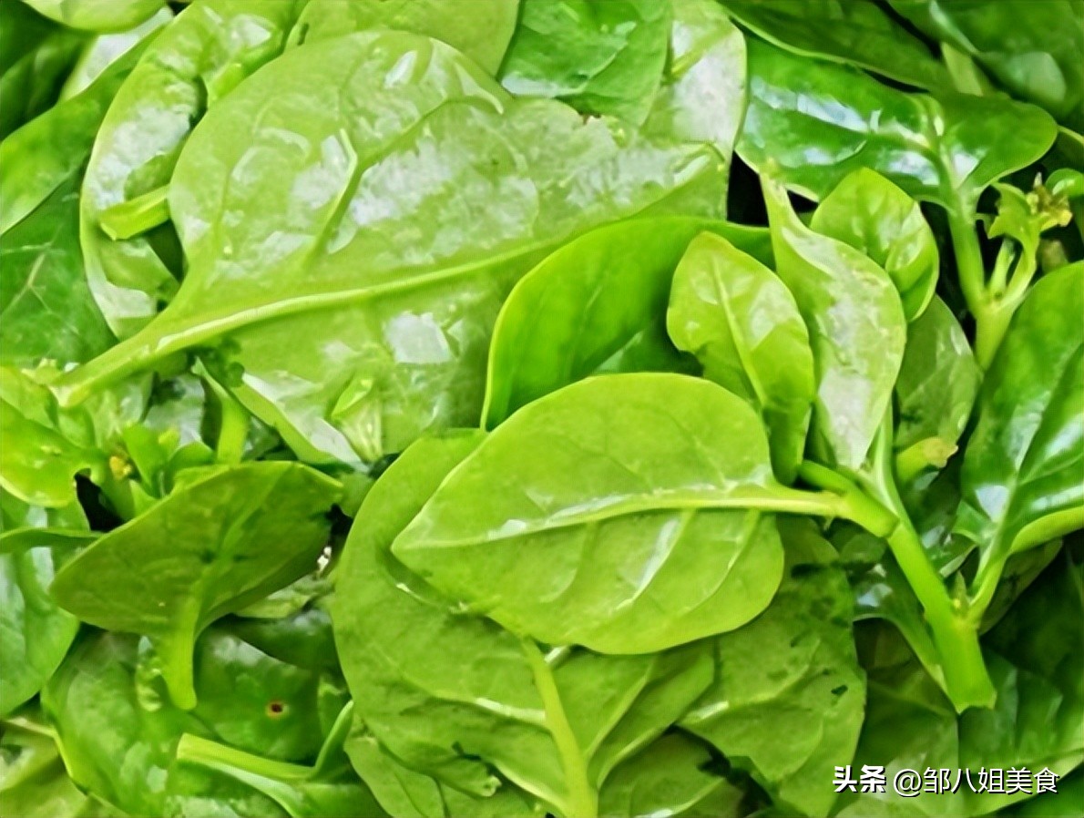 可以每天都吃的绿叶蔬菜,长期吃绿叶蔬菜对人体有什么好处