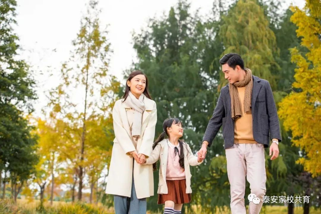 怎样为家长会出谋划策,怎么召开一场成功的家长会