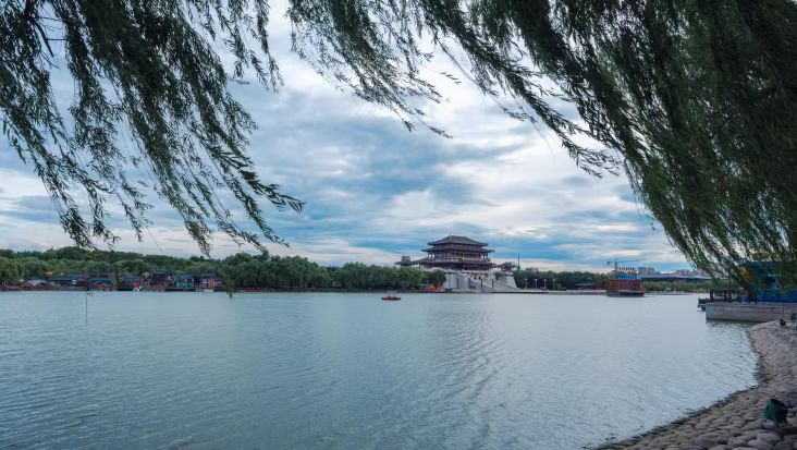 邂逅春天的浪漫！最有诗意的植物，为什么古代诗人都选柳树?