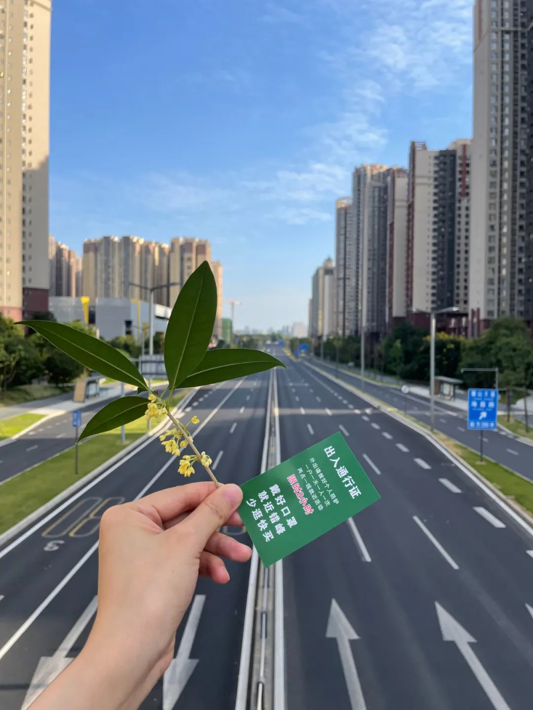 9月，谢谢你们送来的秋天