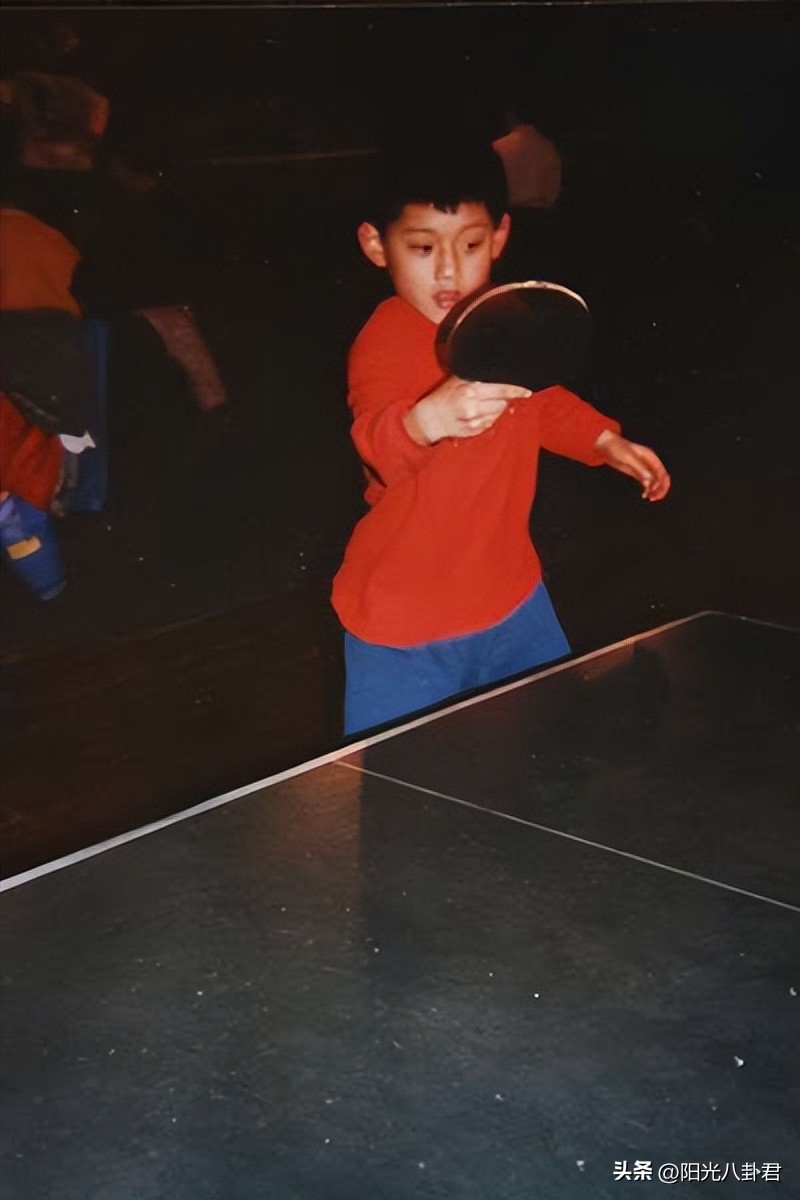 从世界冠军到人人喊打，求锤得锤的张继科，是如何走到这一步的？