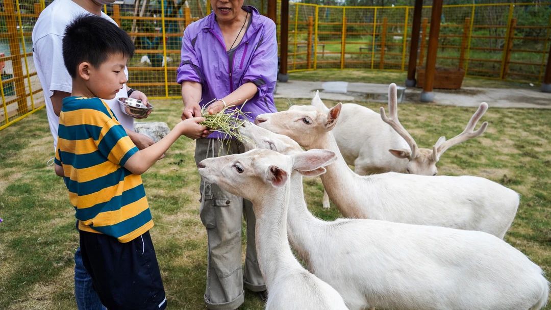此心安处是吾乡开发后续,此心安处是吾乡福州取景