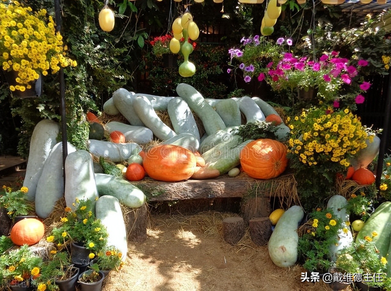 吃冬瓜海带的好处和功效,吃冬瓜对甲状腺有好处吗