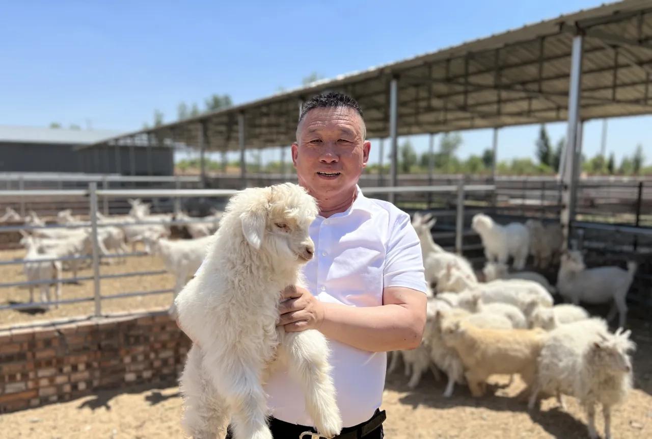 雁飞千里靠头雁的诗谁写的,雁飞千里靠头雁的意义