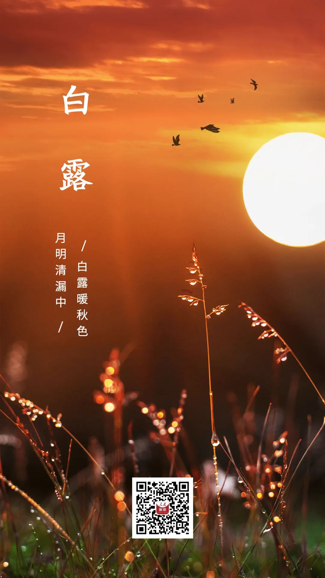 白露季节有哪些讲究,白露后面什么节气