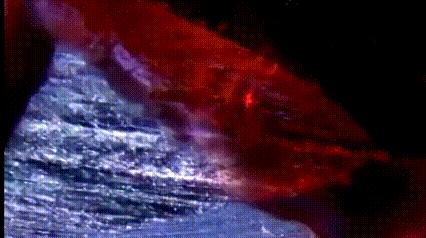 运动神经元显微镜观察内容与结果,显微镜下观察神经元的判断依据