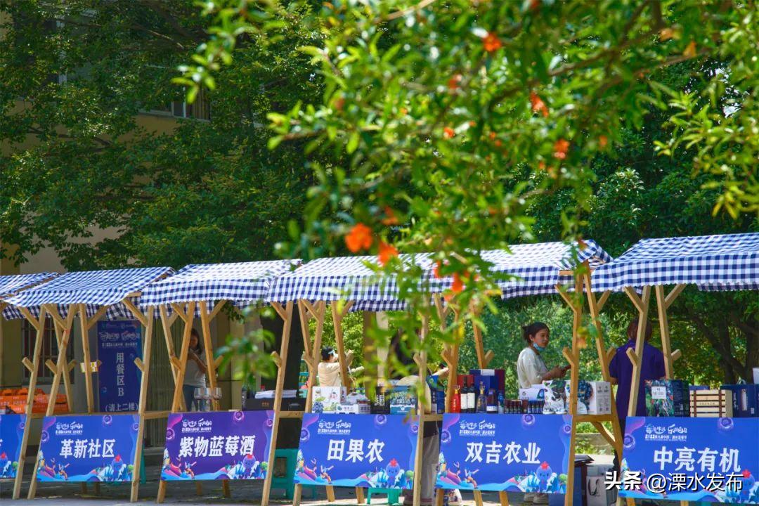 南京溧水最好的活动,南京溧水最新活动