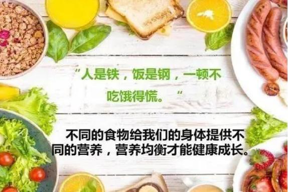科学合理瘦身食谱,健康瘦身饮食科普