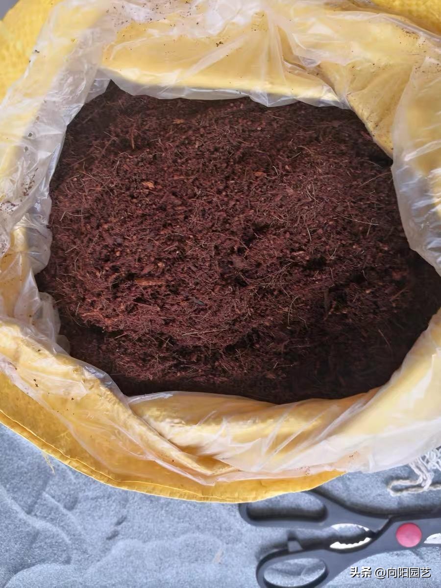 哪种进口泥炭土比较好,进口泥炭土大全