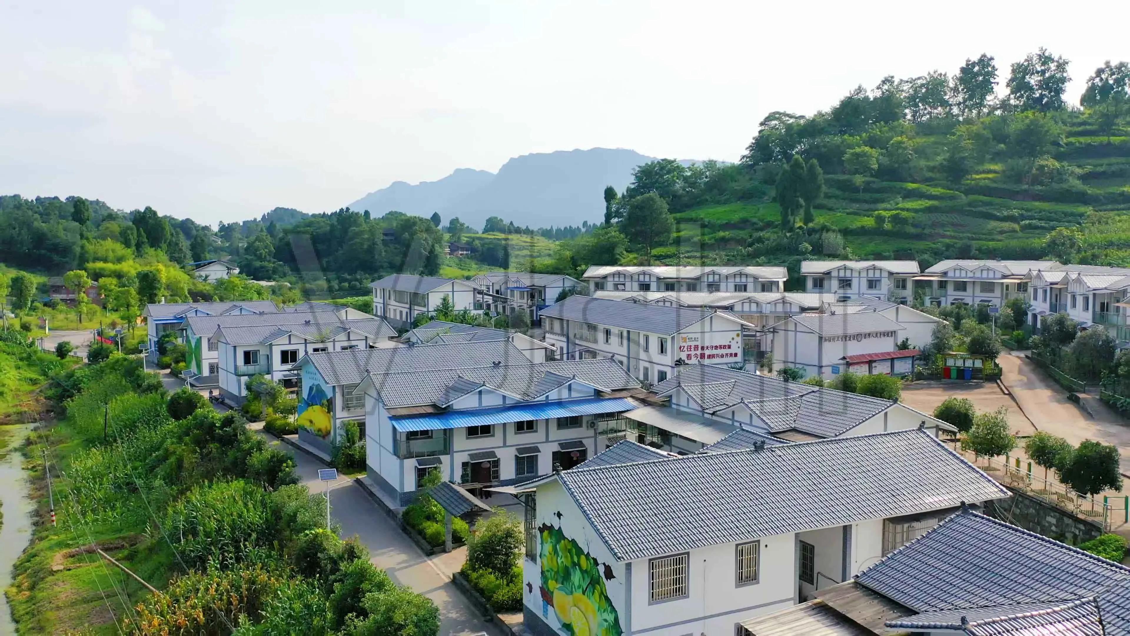 逆城市化的机遇 (未来的逆城市化)