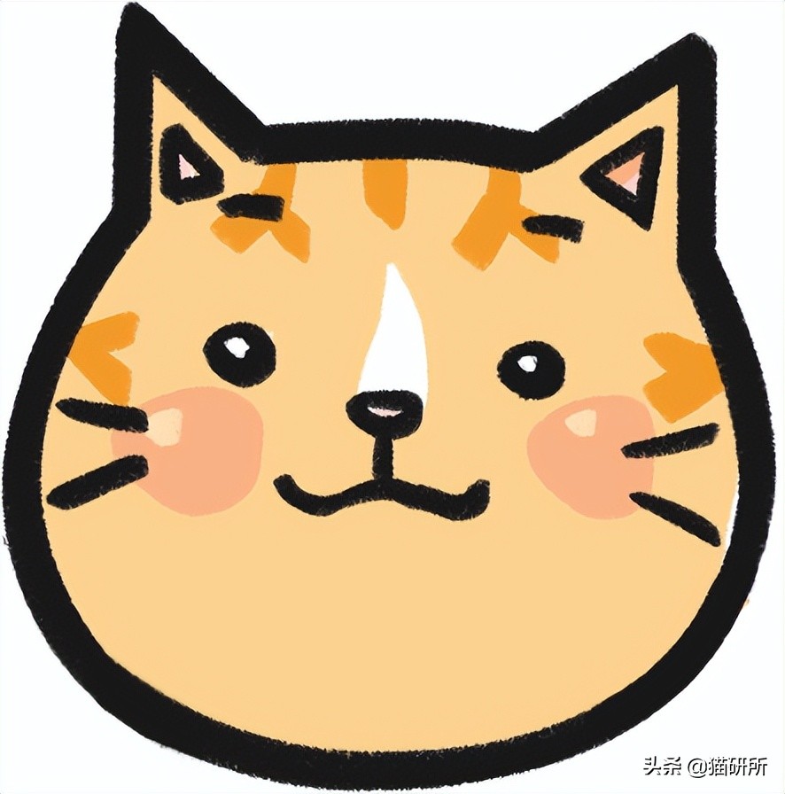 进口罐头猫粮怎么选,猫粮罐头怎么挑选