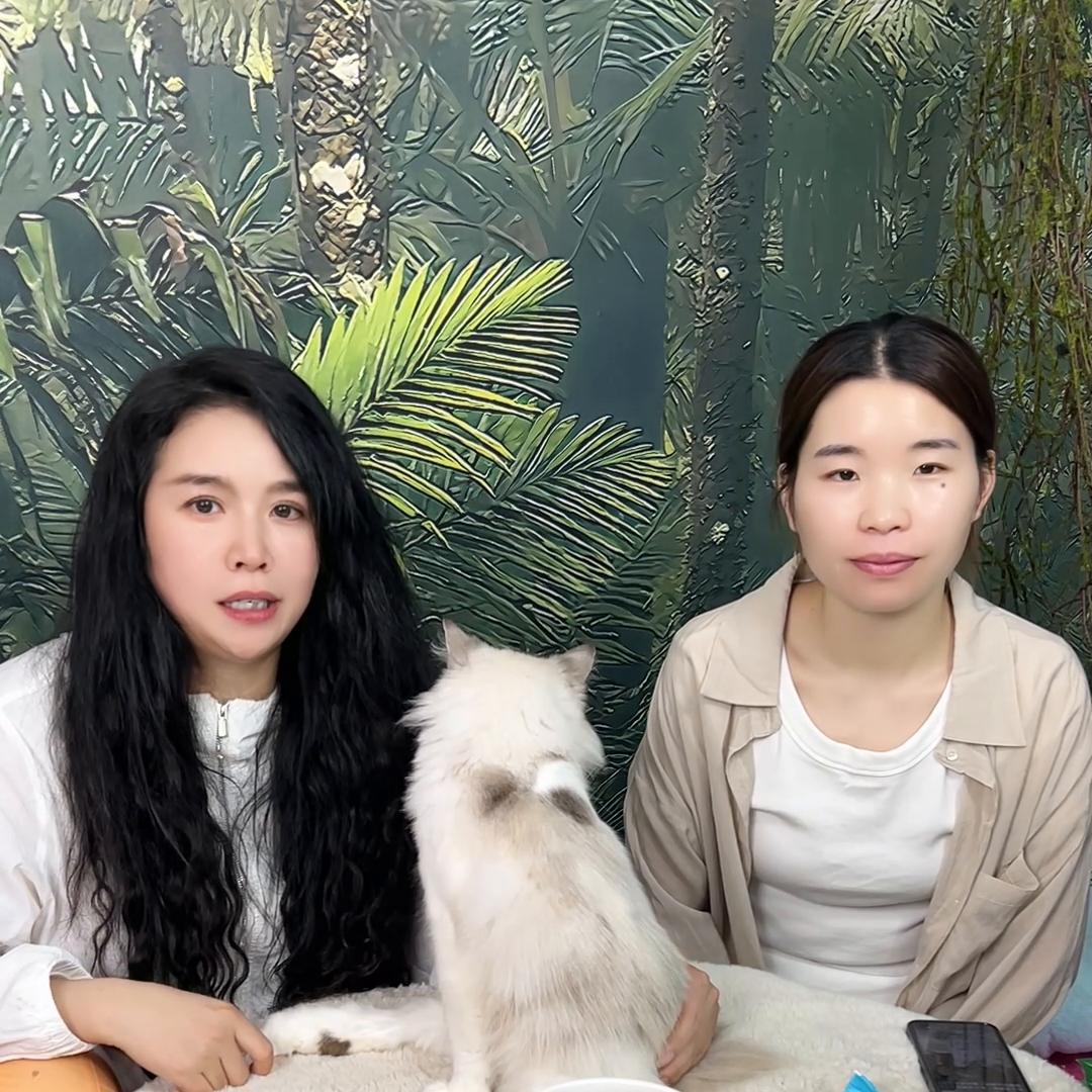 不知道品种怎么买猫粮,不知道选什么奶粉