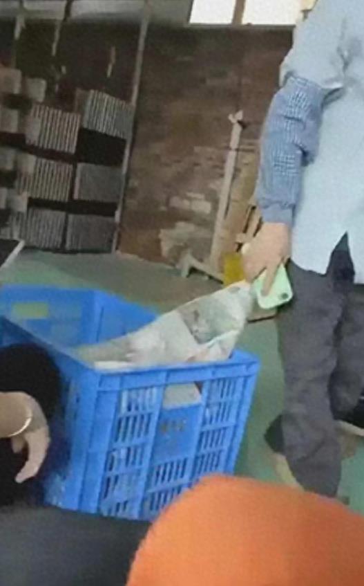 职场好戏：女工友群殴男工友*处私**，欲知结局，速戳！