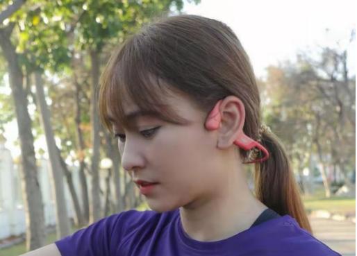 气传导耳机2022排行榜sanag塞那韶音SHOKZCleer可丽尔谁荣登第一