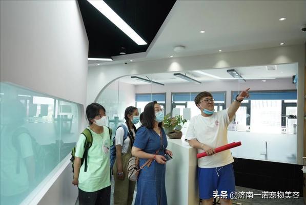 考宠物美容师证需要哪些条件呢,宠物美容师资格证哪个含金量高