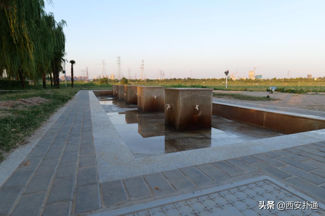 西安最大花海公园,西安周边的自然景观公园