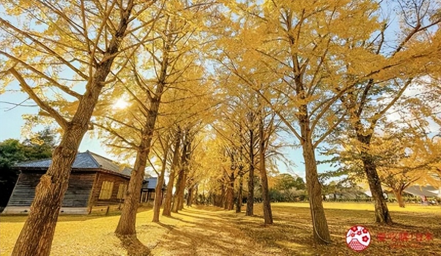 茨城旅行,茨城和茨城县