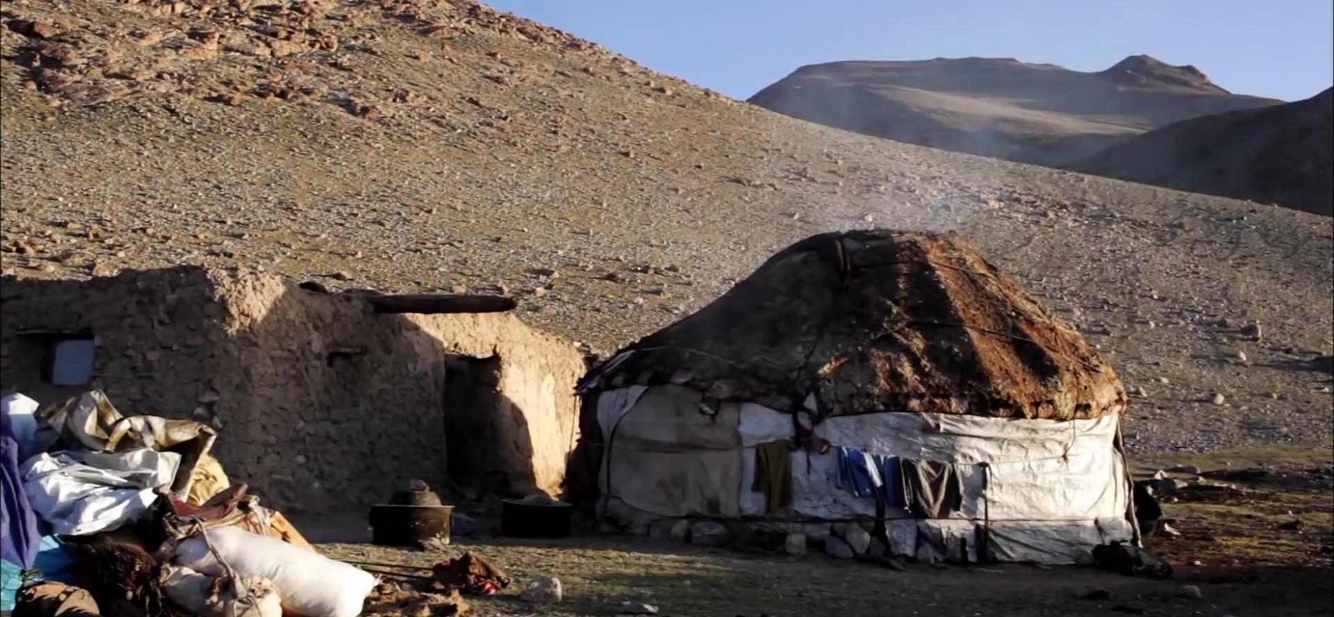 吉尔吉斯人：用100头羊换老婆，没羊男人只能孤独终老