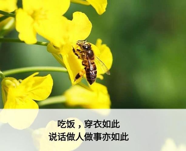 茅塞顿开恍然大悟醍醐灌顶,记住以下六点保证让你茅塞顿开