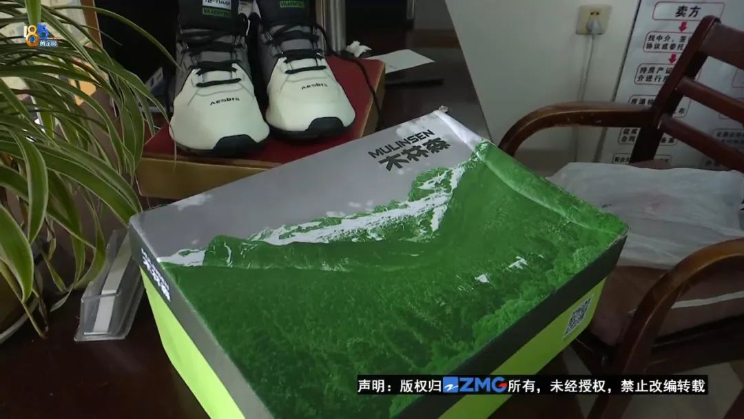 2017年木林森,木林森蝶变