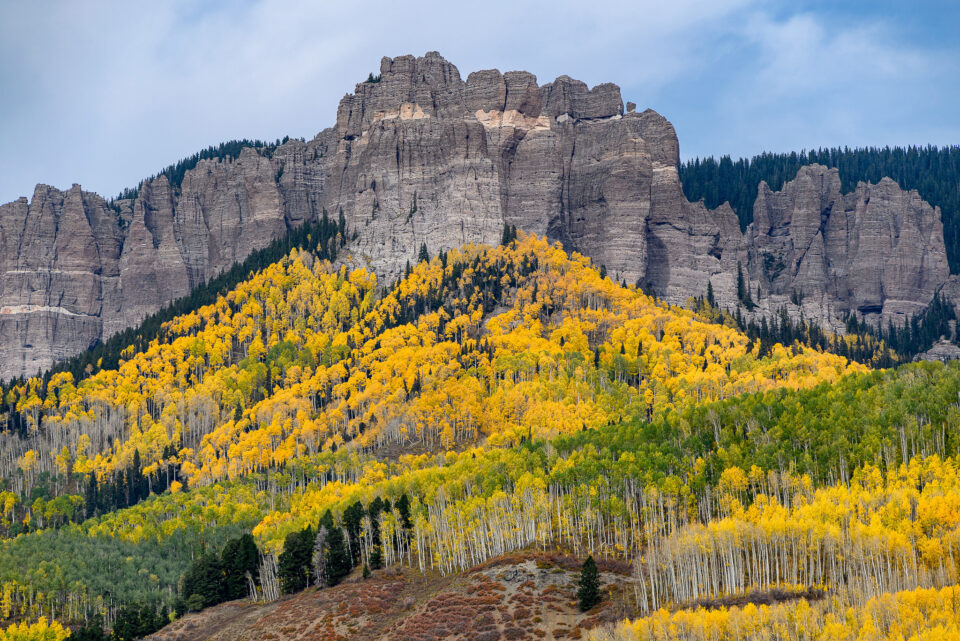 灏煎悍z24-200mmf4娴嬭瘎,灏煎悍z24-200闀滃ご娣卞害娴嬭瘎