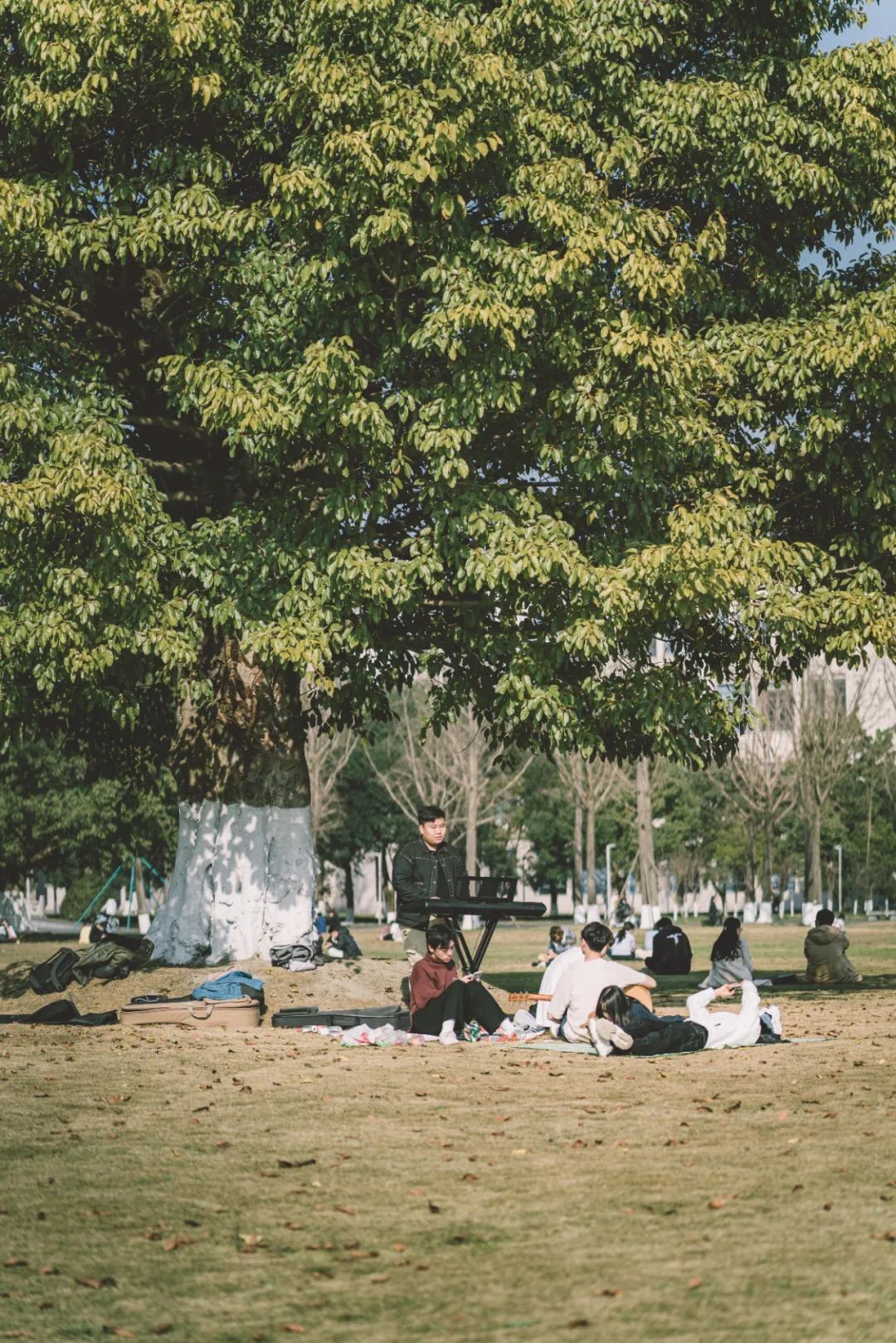 美美美，在阳光灿烂的成电遇见你~